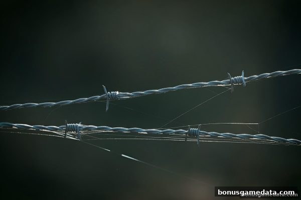 从太阳城崩塌到安心娱乐：彩金游戏助你识破平台迷局